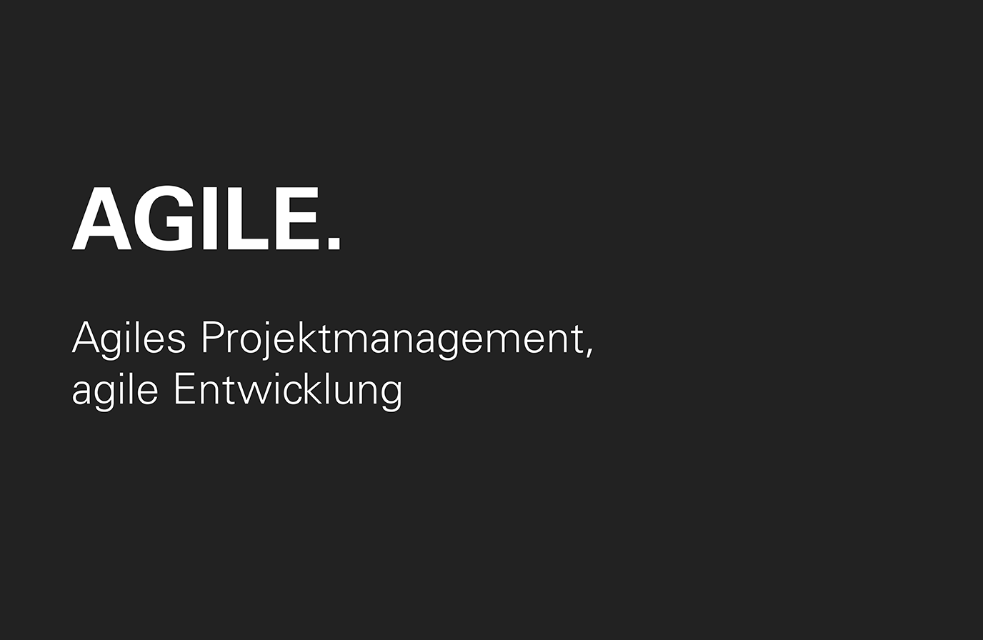 Leistung: agiles Projekt Management, agile Entwicklung