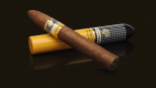 Cohiba Zigarre mit Hülle
