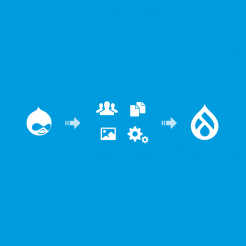 Drupal Upgrade Infografik