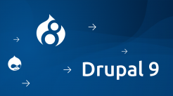Drupal 9 Banner Drupal 9 Banner