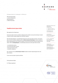 SAS Briefbogen