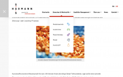 Sticky Navigation beim Scrollen