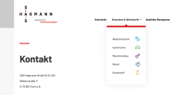 Screenshot: SAS Zielgruppen Icons